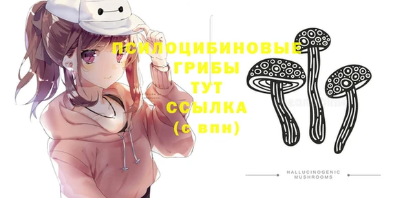 ECSTASY Покров
