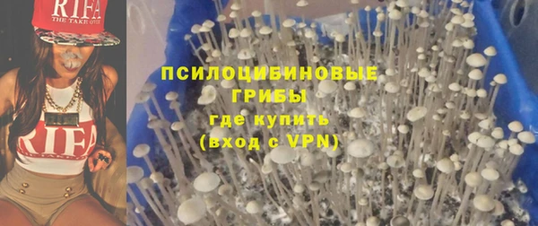гидропоника Покачи