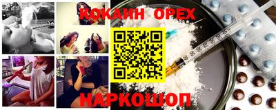 шишки Обь