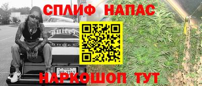 шишки Обь