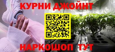 шишки Обь