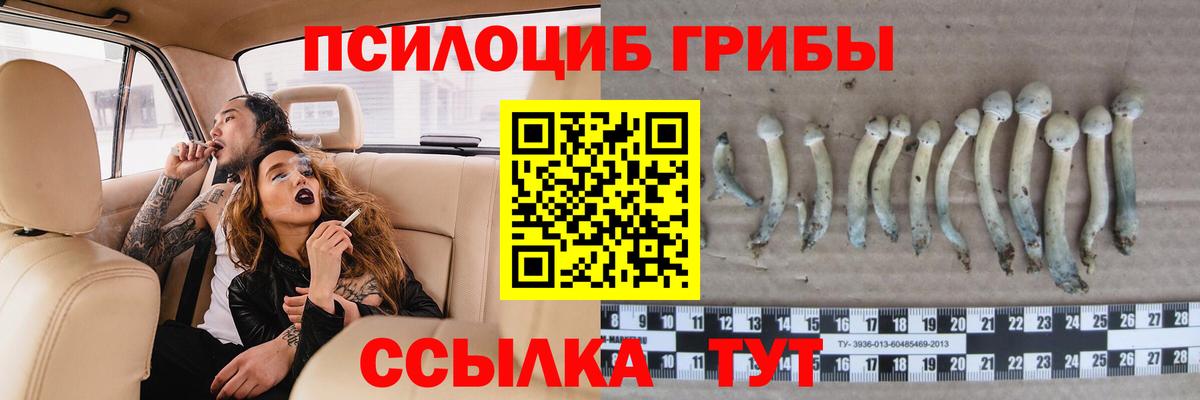 Псилоцибиновые грибы мицелий  Вход с VPN  Галлюциногенные грибы Psilocybe  Торжок 